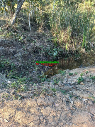 Imagem Chácara à Venda, 20.000 m² em Centro - Monteiro Lobato Imagem Chácara à Venda, 20.000 m² em Centro - Monteiro Lobato