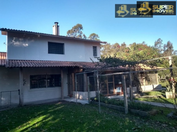Imagem Imóvel com 5 Quartos à Venda, 4.140 m² em Centro - Capão Do Leão