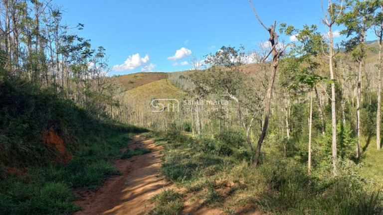 Imagem Imóvel à Venda, 1.477.200 m² em Bairro Bom Retiro - Bananal Imagem Imóvel à Venda, 1.477.200 m² em Bairro Bom Retiro - Bananal