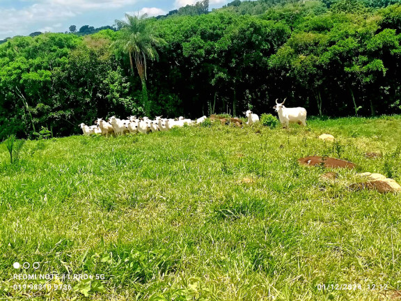 Imagem Chácara à Venda, 11 m² em Monte Santo De Minas Imagem Chácara à Venda, 11 m² em Monte Santo De Minas