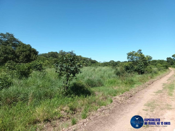 Imagem Fazenda à Venda, 200 m² em Zona Rural - Uirapuru Imagem Fazenda à Venda, 200 m² em Zona Rural - Uirapuru