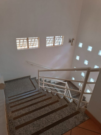 Imagem Kitnet com 2 Quartos para Alugar, 46 m² em Jardim América - Goiânia Imagem Kitnet com 2 Quartos para Alugar, 46 m² em Jardim América - Goiânia