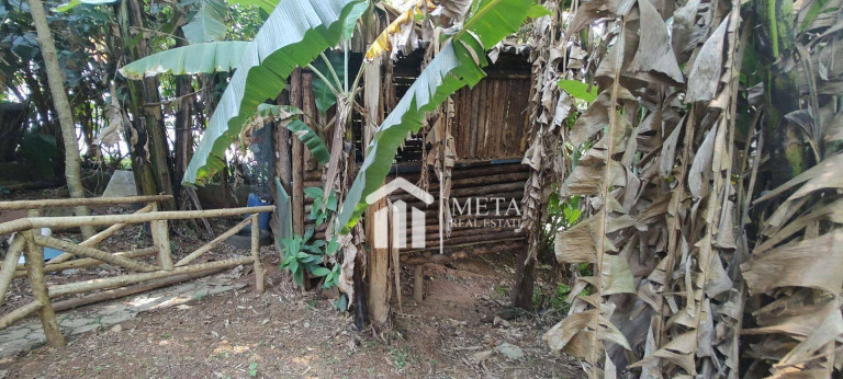 Imagem Imóvel com 3 Quartos à Venda, 400 m² em Juqueri Mirim - Mairiporã