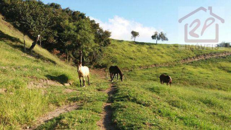 Imagem Fazenda à Venda, 479.160 m² em Catuçaba - São Luiz Do Paraitinga Imagem Fazenda à Venda, 479.160 m² em Catuçaba - São Luiz Do Paraitinga