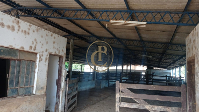 Imagem Fazenda para Alugar, 100 m² em Serrote - Santa Branca Imagem Fazenda para Alugar, 100 m² em Serrote - Santa Branca