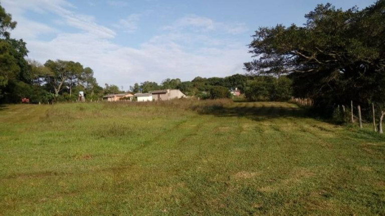 Imagem Chácara à Venda, 5.536 m² em águas Claras - Viamão
