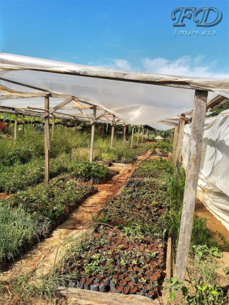 Imagem Chácara à Venda, 75.000 m² em Tanque - Atibaia Imagem Chácara à Venda, 75.000 m² em Tanque - Atibaia