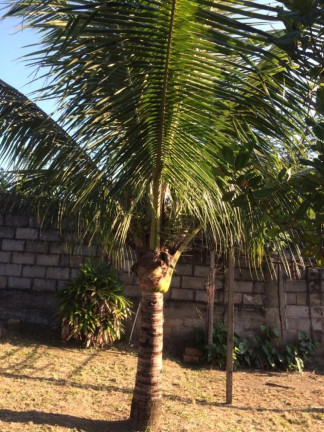 Imagem Imóvel à Venda, 2.000 m² em Campo Grande - Rio De Janeiro Imagem Imóvel à Venda, 2.000 m² em Campo Grande - Rio De Janeiro