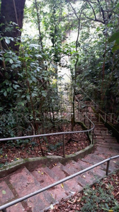 Imagem Imóvel com 4 Quartos à Venda, 5.000 m² em Chácaras Alpina - Valinhos Imagem Imóvel com 4 Quartos à Venda, 5.000 m² em Chácaras Alpina - Valinhos