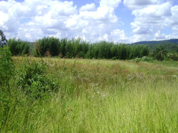 Imagem Terreno à Venda, 15.700 m² em Acesso Para Carretas - Mairiporã