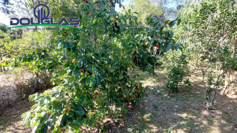Imagem Casa com 2 Quartos à Venda, 3.240 m² em águas Claras - Viamão