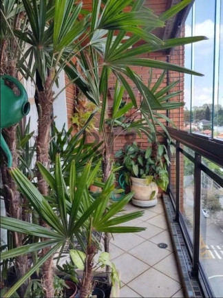 Imagem Apartamento com 4 Quartos à Venda, 250 m² em Santo Amaro - São Paulo