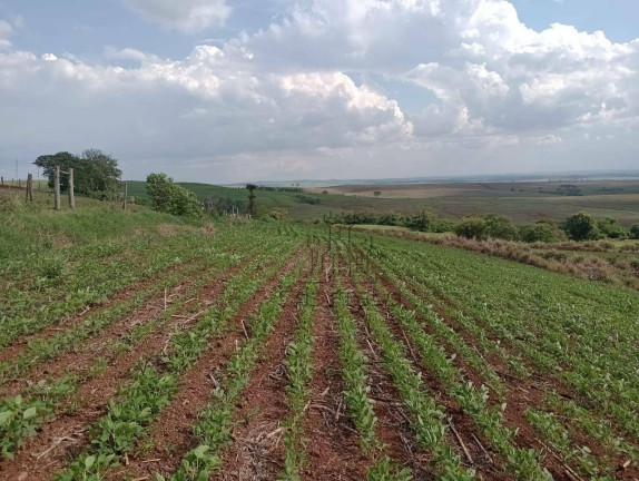 Imagem Fazenda à Venda, 193.600 m² em Centro - Bela Vista Do Paraíso Imagem Fazenda à Venda, 193.600 m² em Centro - Bela Vista Do Paraíso