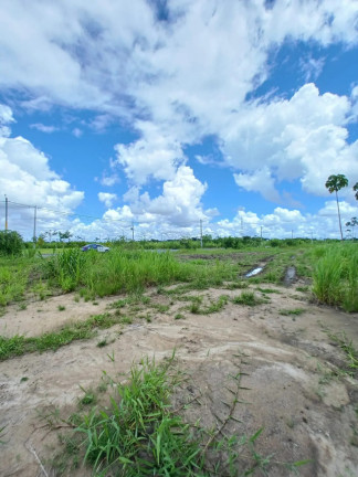 Imagem Terreno à Venda, 311 m² em Aldeia Dos Camarás - Paudalho Imagem Terreno à Venda, 311 m² em Aldeia Dos Camarás - Paudalho