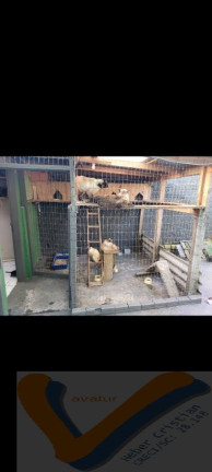 Imagem Casa com 3 Quartos à Venda, 80 m² em Ingleses Do Rio Vermelho - Florianópolis
