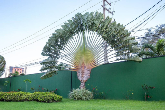 Imagem Apartamento com 3 Quartos à Venda, 164 m² em Guararapes - Fortaleza
