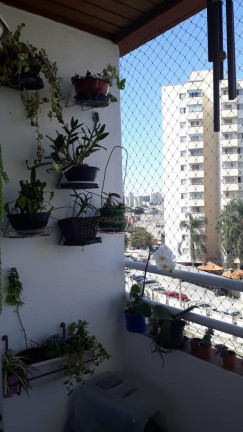 Imagem Apartamento com 3 Quartos à Venda, 67 m² em Vila Matilde - São Paulo Imagem Apartamento com 3 Quartos à Venda, 67 m² em Vila Matilde - São Paulo