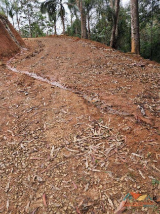 Imagem Chácara com 2 Quartos à Venda, 100 m² em Zona Rural - Paraibuna