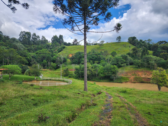 Imagem Imóvel com 3 Quartos à Venda, 77.860 m² em Zona Rural - Alfredo Wagner Imagem Imóvel com 3 Quartos à Venda, 77.860 m² em Zona Rural - Alfredo Wagner