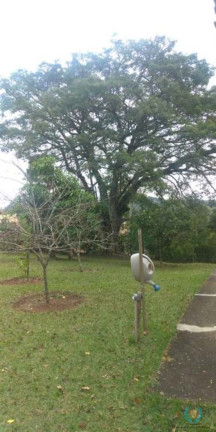 Imagem Chácara com 3 Quartos à Venda, 3.332 m² em Planalto Verde - São Roque