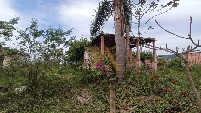 Imagem Imóvel com 1 Quarto à Venda, 80 m² em Costa Do Macacu - Garopaba Imagem Imóvel com 1 Quarto à Venda, 80 m² em Costa Do Macacu - Garopaba