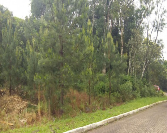 Imagem Imóvel à Venda, 515 m² em Juriti - Nova Petrópolis Imagem Imóvel à Venda, 515 m² em Juriti - Nova Petrópolis