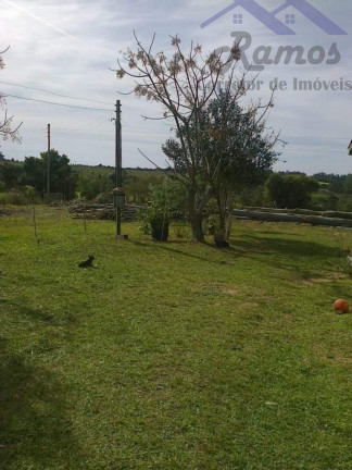 Imagem Imóvel com 3 Quartos à Venda, 20.000 m² em Itapua - Porto Alegre Imagem Imóvel com 3 Quartos à Venda, 20.000 m² em Itapua - Porto Alegre