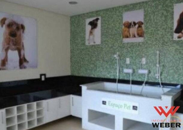 Imagem Apartamento com 3 Quartos à Venda, 70 m² em Parque Bela Vista - Votorantim
