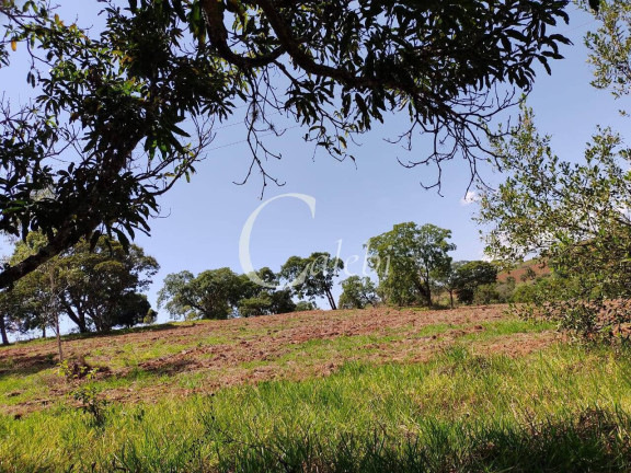 Imagem Chácara com 2 Quartos à Venda, 23 m² em Rural - Ouro Fino Imagem Chácara com 2 Quartos à Venda, 23 m² em Rural - Ouro Fino