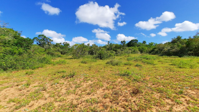 Imagem Fazenda à Venda, 900.000 m² em Centro - Viamão Imagem Fazenda à Venda, 900.000 m² em Centro - Viamão