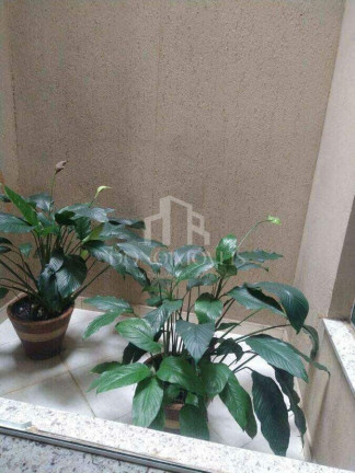 Imagem Casa com 3 Quartos à Venda, 300 m² em Nova Petrópolis - São Bernardo Do Campo Imagem Casa com 3 Quartos à Venda, 300 m² em Nova Petrópolis - São Bernardo Do Campo