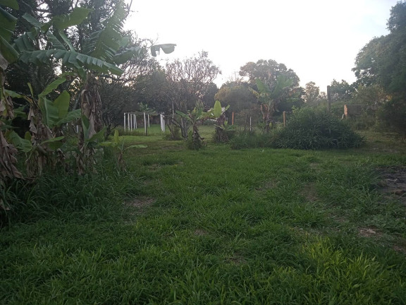 Imagem Casa com 3 Quartos à Venda, 2.400 m² em águas Claras - Viamão Imagem Casa com 3 Quartos à Venda, 2.400 m² em águas Claras - Viamão