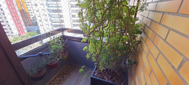 Imagem Apartamento com 3 Quartos à Venda, 110 m² em Chácara Klabin - São Paulo Imagem Apartamento com 3 Quartos à Venda, 110 m² em Chácara Klabin - São Paulo