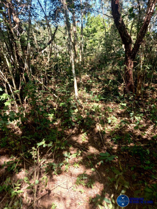 Imagem Chácara à Venda, 5 m² em Jardim Barcelona - Bela Vista De Goiás Imagem Chácara à Venda, 5 m² em Jardim Barcelona - Bela Vista De Goiás
