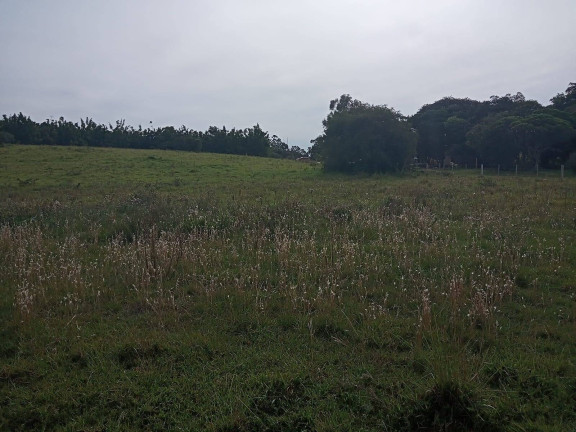 Imagem Chácara à Venda, 10.000 m² em águas Claras - Viamão