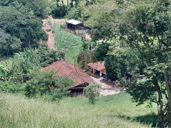 Imagem Chácara com 4 Quartos à Venda, em Bela Vista - São Luíz Do Paraitinga Imagem Chácara com 4 Quartos à Venda, em Bela Vista - São Luíz Do Paraitinga