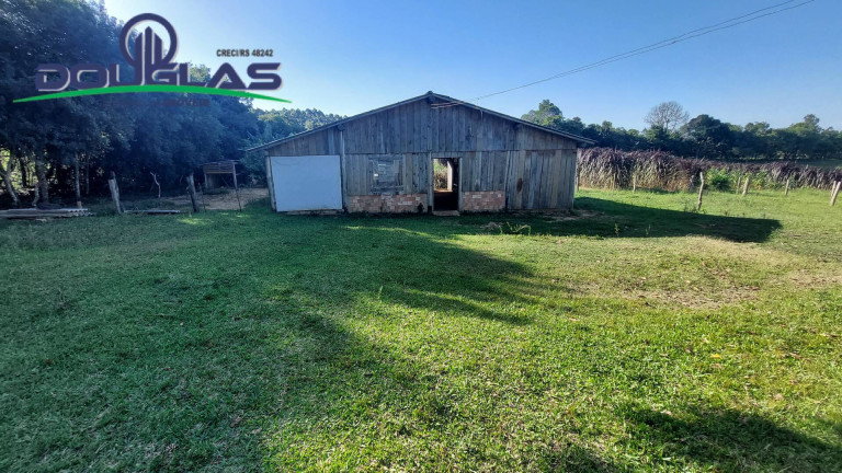 Imagem Chácara com 3 Quartos à Venda, 20.000 m² em águas Claras - Viamão