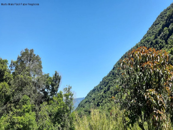 Imagem Imóvel com 2 Quartos à Venda, 70 m² em Linha Pirajá Baixa - Nova Petrópolis Imagem Imóvel com 2 Quartos à Venda, 70 m² em Linha Pirajá Baixa - Nova Petrópolis