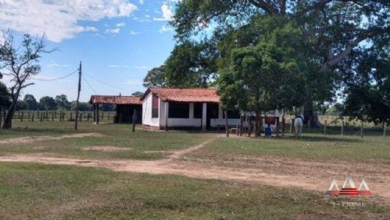 Imagem Fazenda à Venda, 92 m² em Zona Rural De Poconé - Poconé Imagem Fazenda à Venda, 92 m² em Zona Rural De Poconé - Poconé