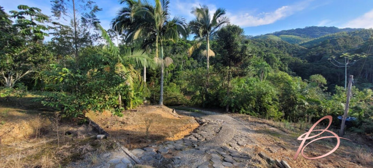 Imagem Imóvel com 2 Quartos à Venda, 40.000 m² em Ilhota - Ilhota
