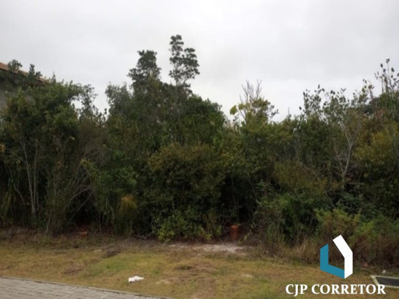 Imagem Terreno à Venda, 700 m² em Praia Do Forte - Mata De Sao Joao Imagem Terreno à Venda, 700 m² em Praia Do Forte - Mata De Sao Joao