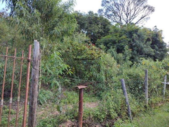 Imagem Chácara com 2 Quartos à Venda, 1.600 m² em Terra Preta (terra Preta) - Mairiporã Imagem Chácara com 2 Quartos à Venda, 1.600 m² em Terra Preta (terra Preta) - Mairiporã