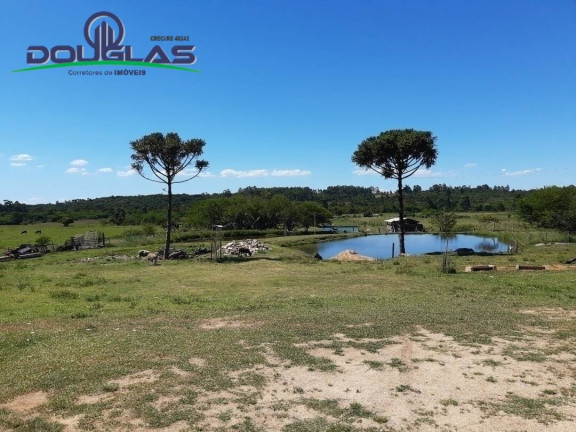 Imagem Chácara à Venda,  em águas Claras - Viamão