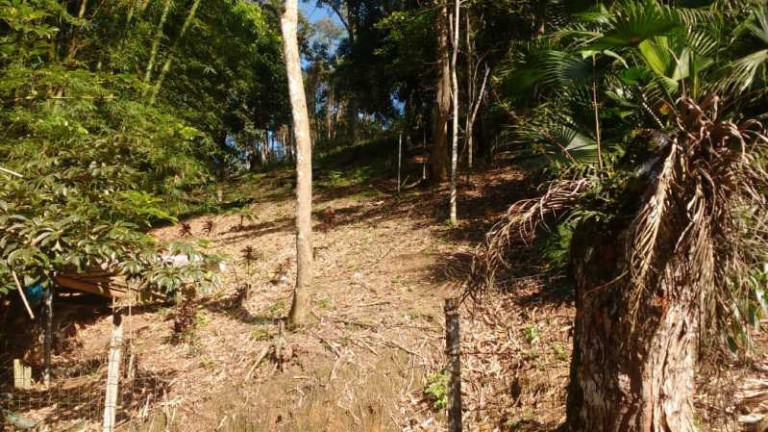 Imagem Imóvel com 2 Quartos à Venda, 13.800 m² em Guaratiba - Rio De Janeiro Imagem Imóvel com 2 Quartos à Venda, 13.800 m² em Guaratiba - Rio De Janeiro