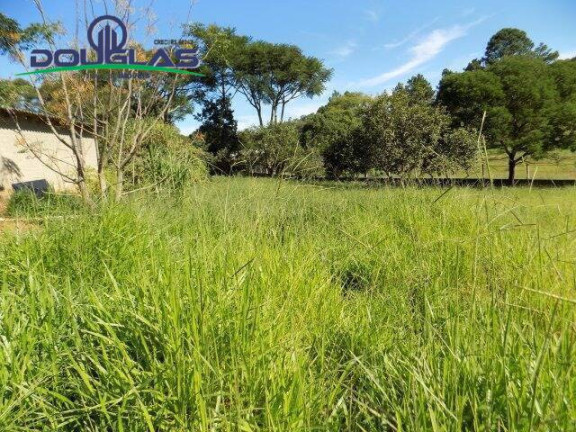 Imagem Imóvel Comercial à Venda, 5.000 m² em águas Claras - Viamão