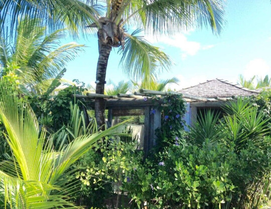 Imagem Casa com 5 Quartos à Venda, 502 m² em Caraiva - Porto Seguro Imagem Casa com 5 Quartos à Venda, 502 m² em Caraiva - Porto Seguro