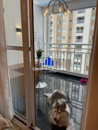 Imagem Apartamento com 3 Quartos à Venda, 85 m² em Jardim Tupanci - Barueri Imagem Apartamento com 3 Quartos à Venda, 85 m² em Jardim Tupanci - Barueri