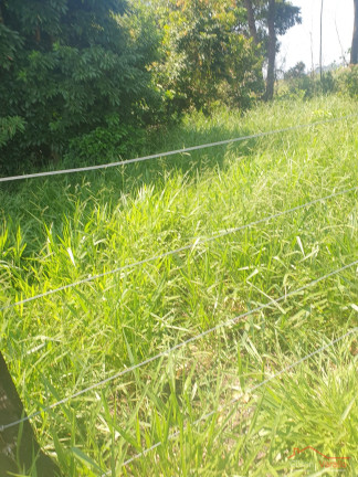 Imagem Terreno à Venda, 25.000 m² em Piracangaguá - Taubaté Imagem Terreno à Venda, 25.000 m² em Piracangaguá - Taubaté