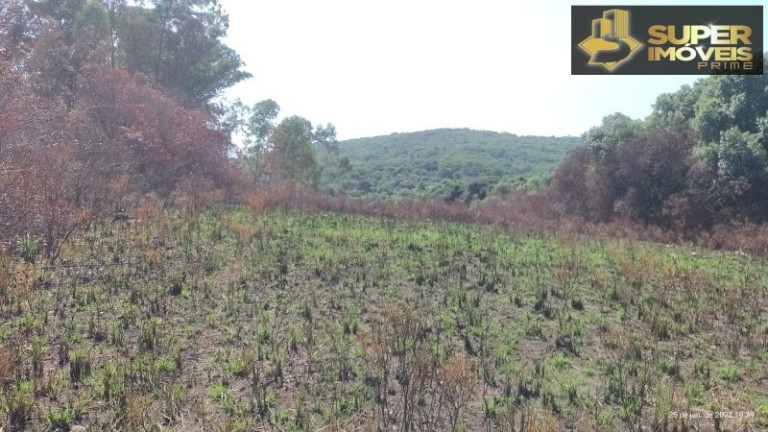 Imagem Imóvel com 4 Quartos à Venda, 2.600.000 m² em Centro - Canguçu