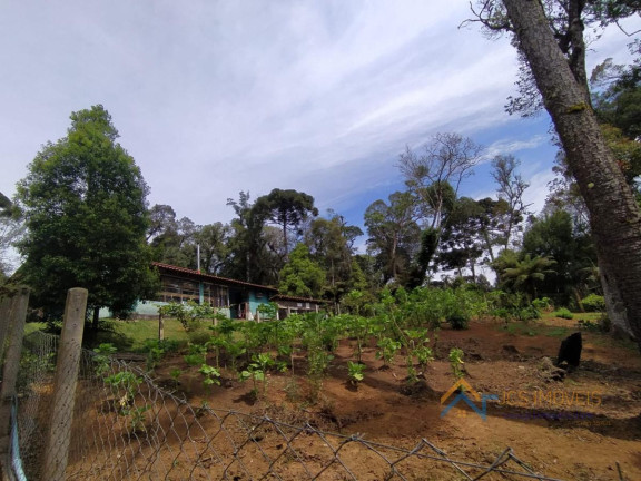 Imagem Chácara com 3 Quartos à Venda, 194 m² em Campestre Da Faxina - São José Dos Pinhais Imagem Chácara com 3 Quartos à Venda, 194 m² em Campestre Da Faxina - São José Dos Pinhais